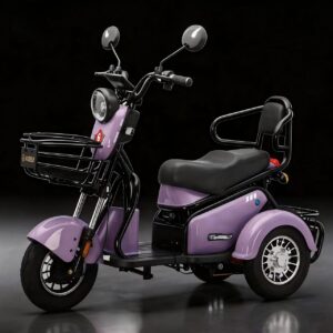 Electric Mini Vehicle - 4-Wheel Low-Speed EV