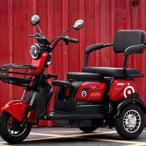 Family Urban Electric Commuter Bike